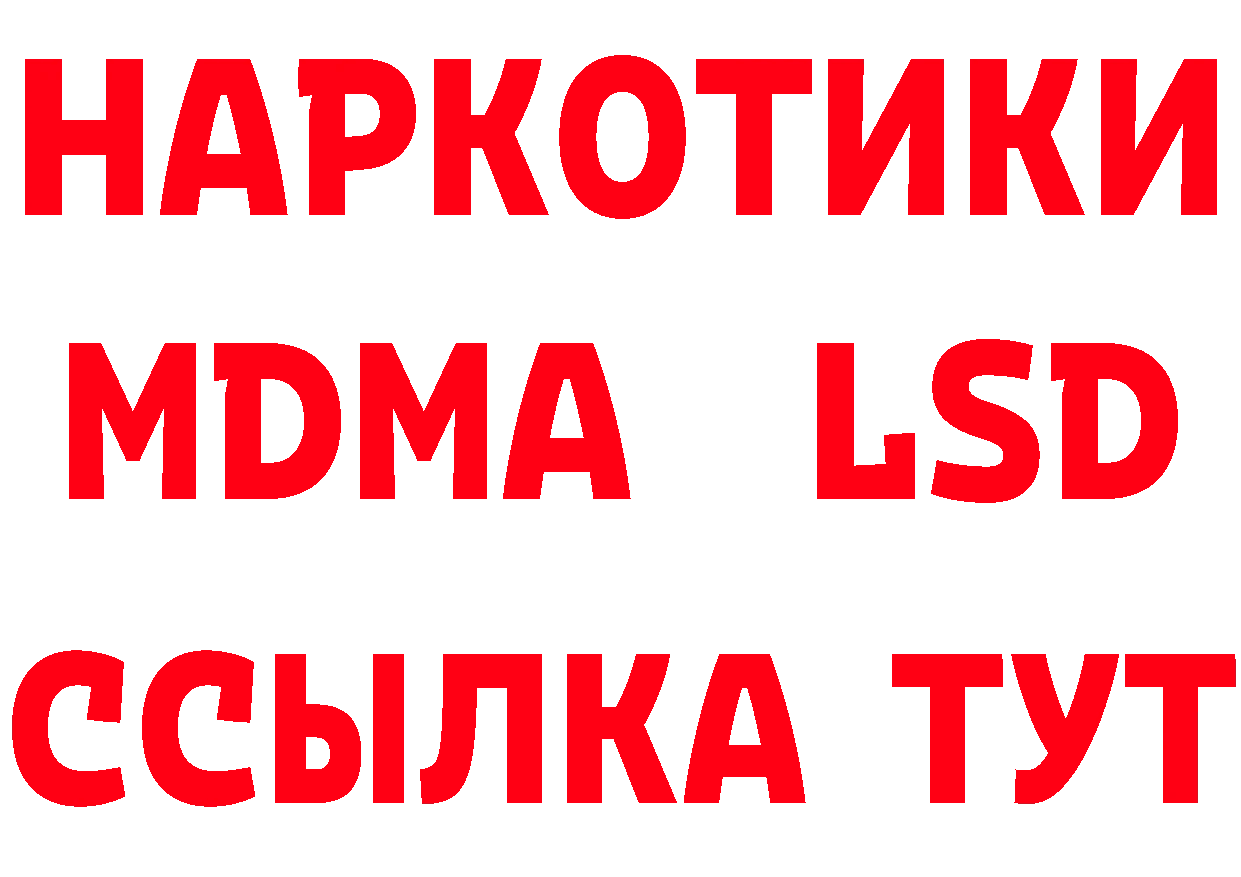 ГАШ гарик как войти дарк нет MEGA Полярные Зори